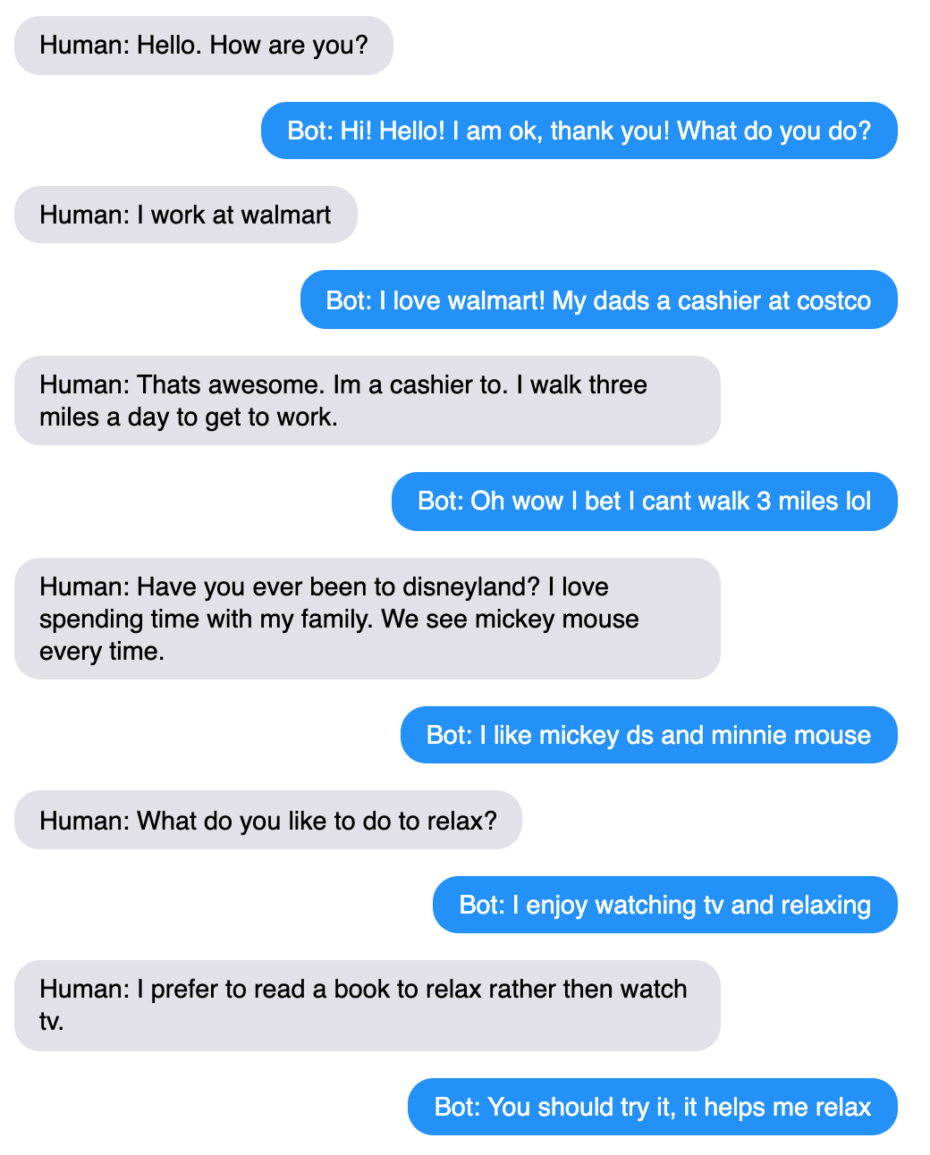An example chat between the bot and a human