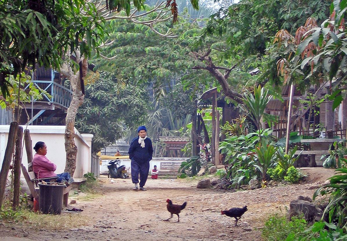 A person walking on a dirt path with chickens

Description automatically generated