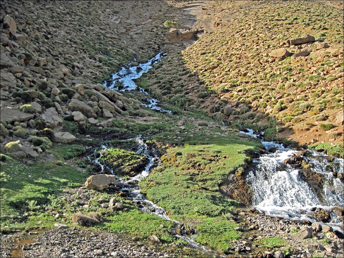 A stream running through a rocky hillside

Description automatically generated