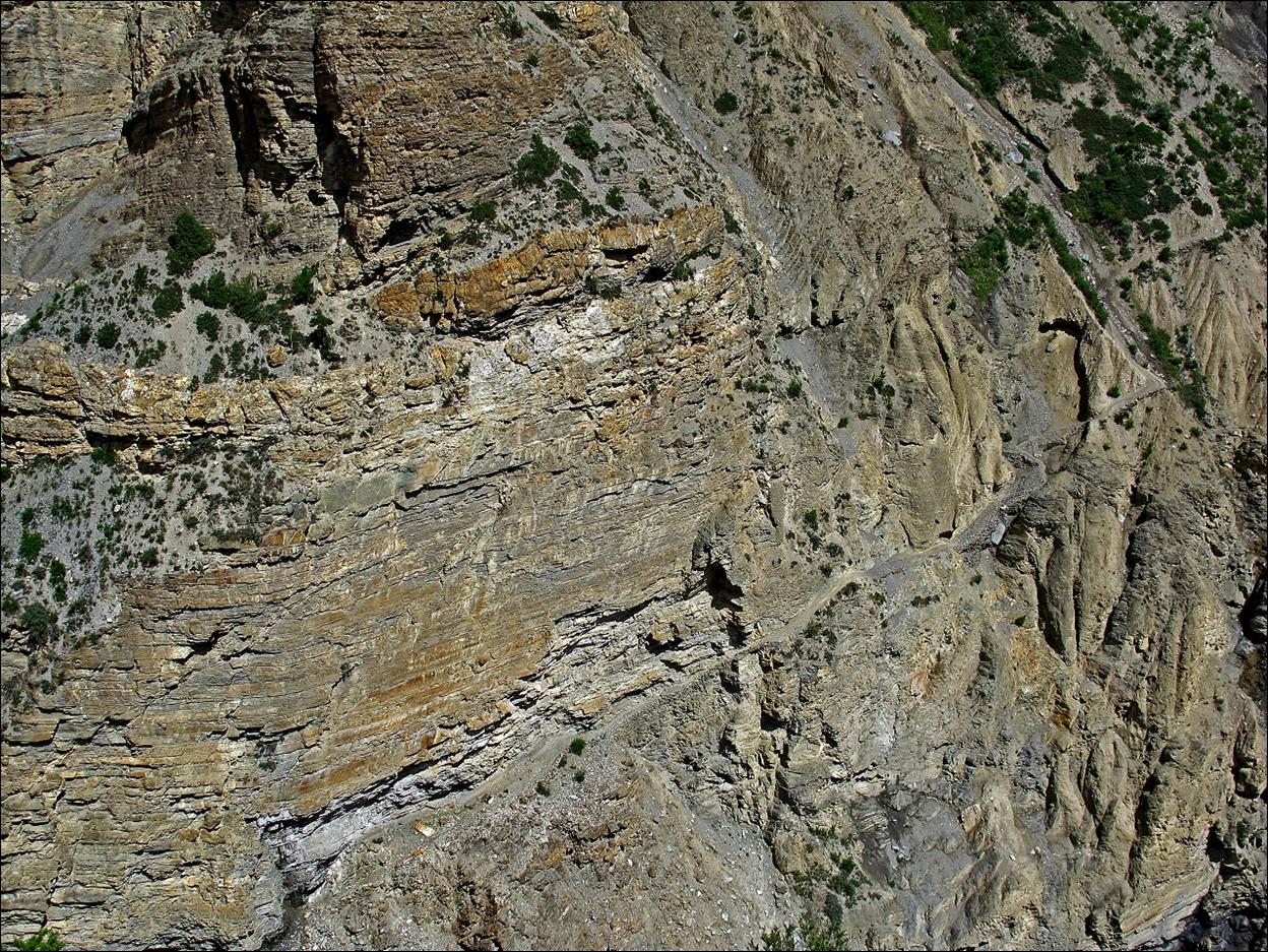 A close-up of a rocky cliff

Description automatically generated