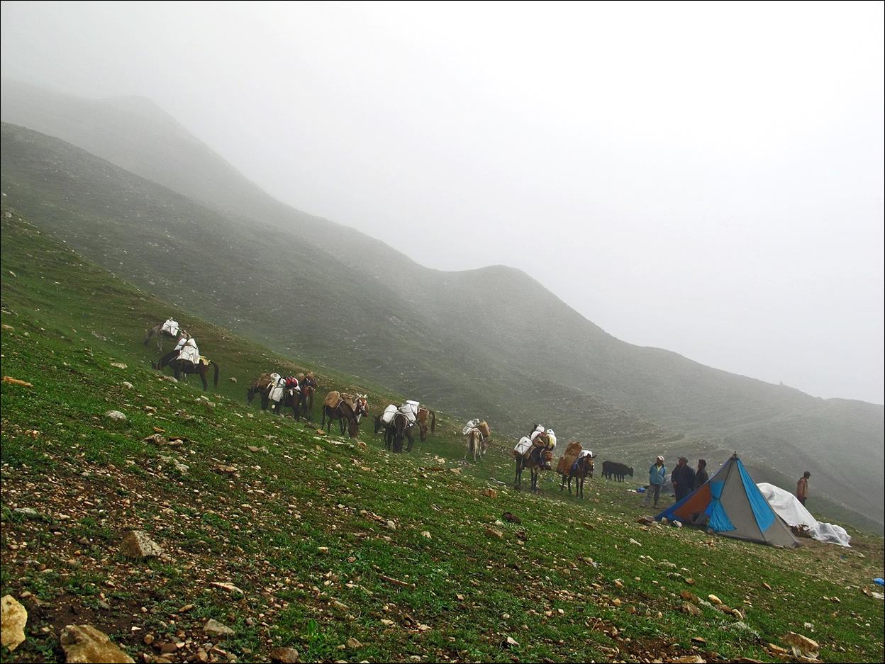 A group of people with camels and a tent on a mountain

Description automatically generated