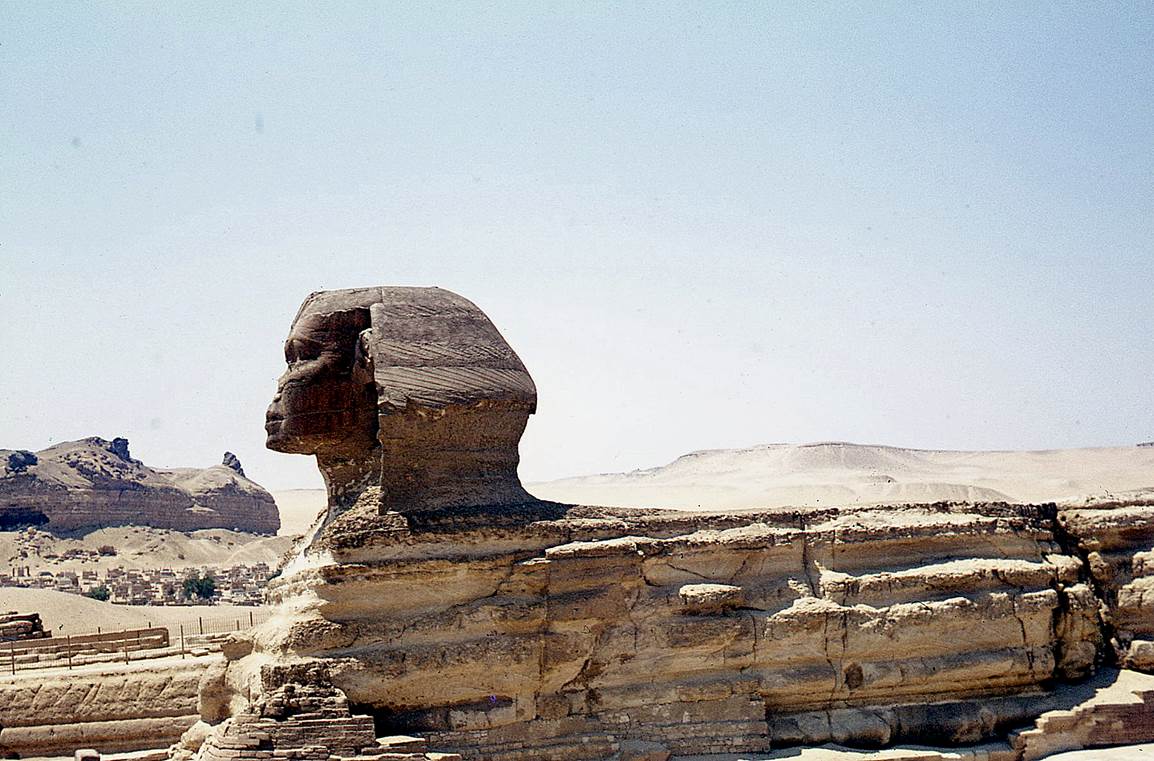 A close-up of a sphinx

Description automatically generated