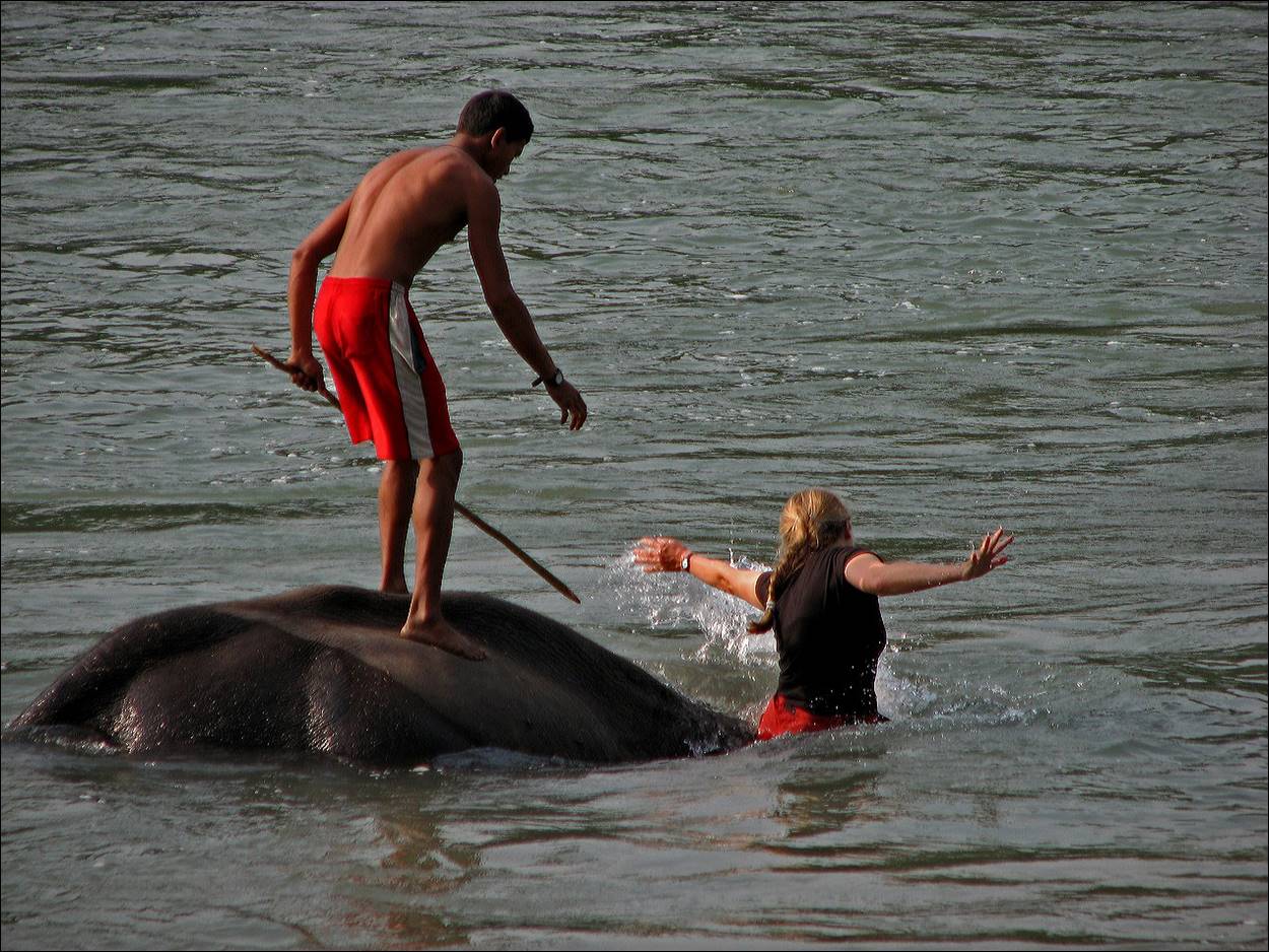 A person standing on top of an elephant in the water

Description automatically generated