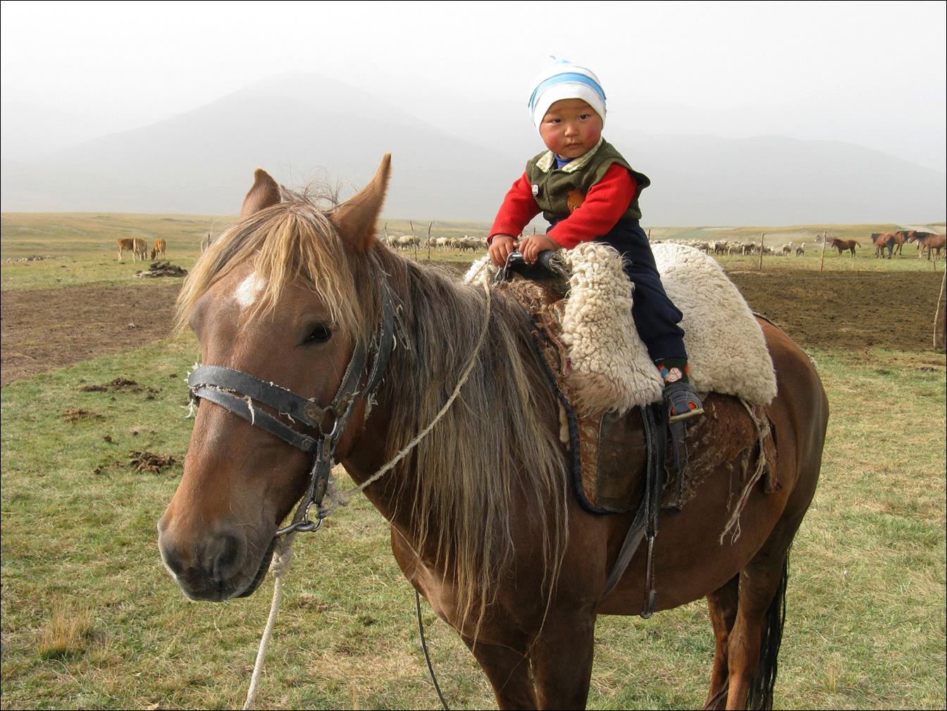 A child riding a horse

Description automatically generated