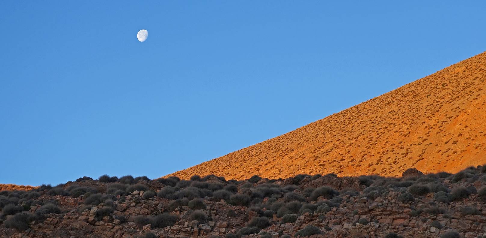 A hill with a moon in the sky

Description automatically generated with low confidence