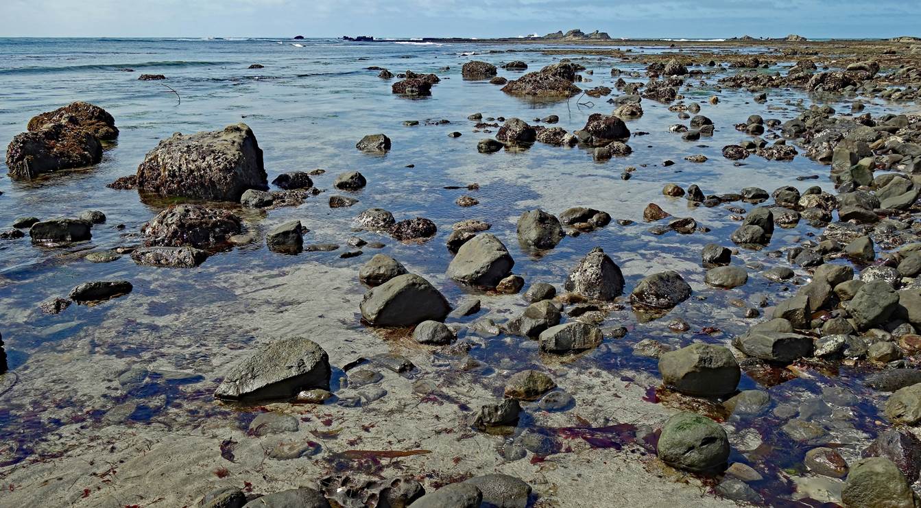A rocky beach with water and rocks

Description automatically generated