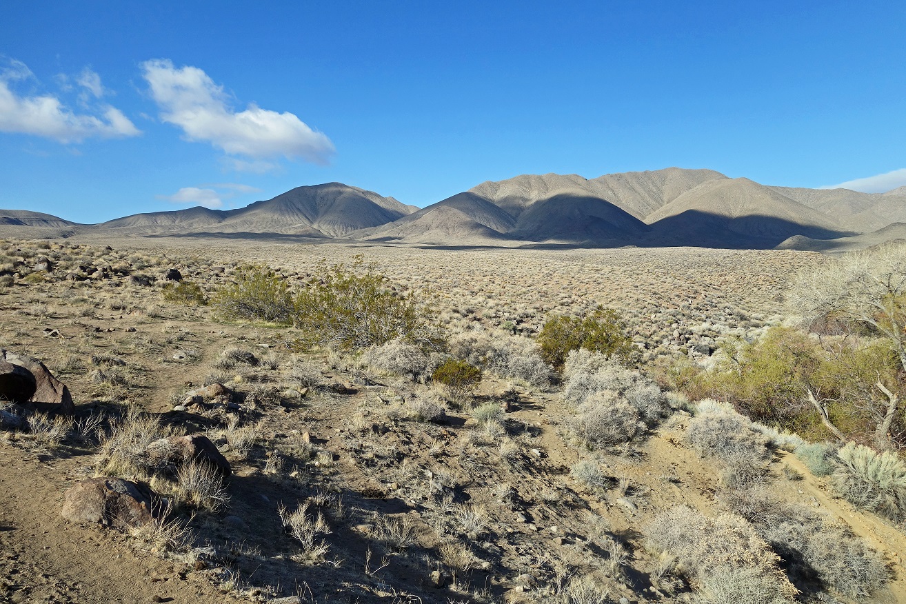 A desert landscape with hills in the background

Description automatically generated with low confidence