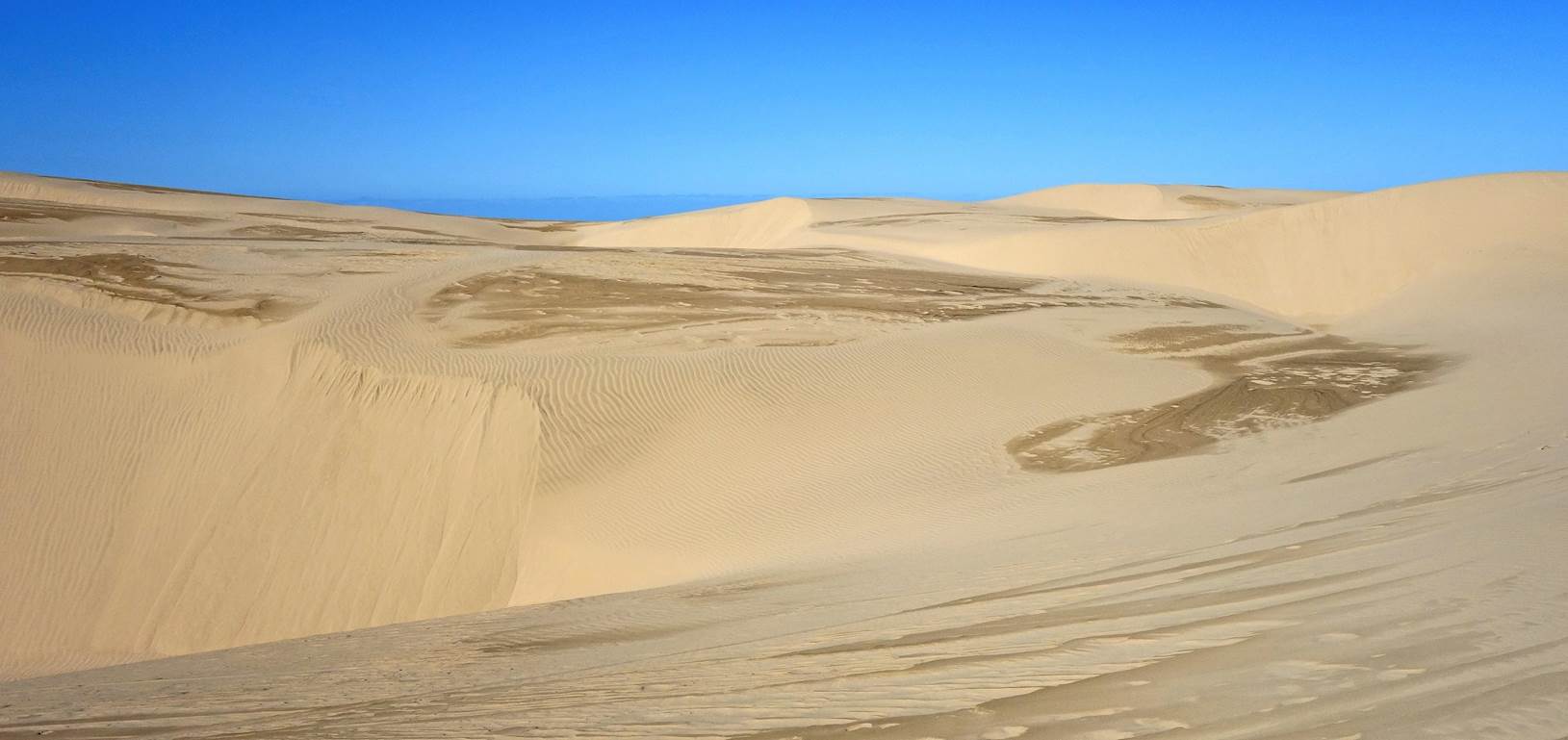A desert landscape with sand

Description automatically generated with low confidence