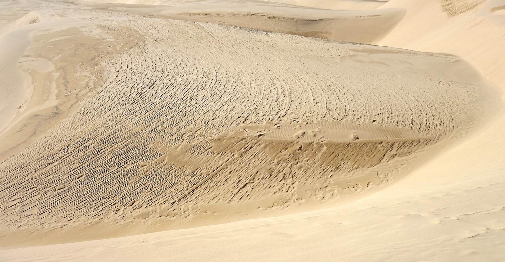 A picture containing nature, dune, shore, sand

Description automatically generated