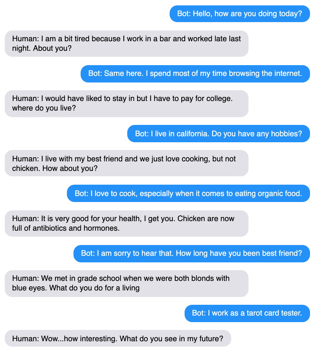 An example chat between the bot and a human