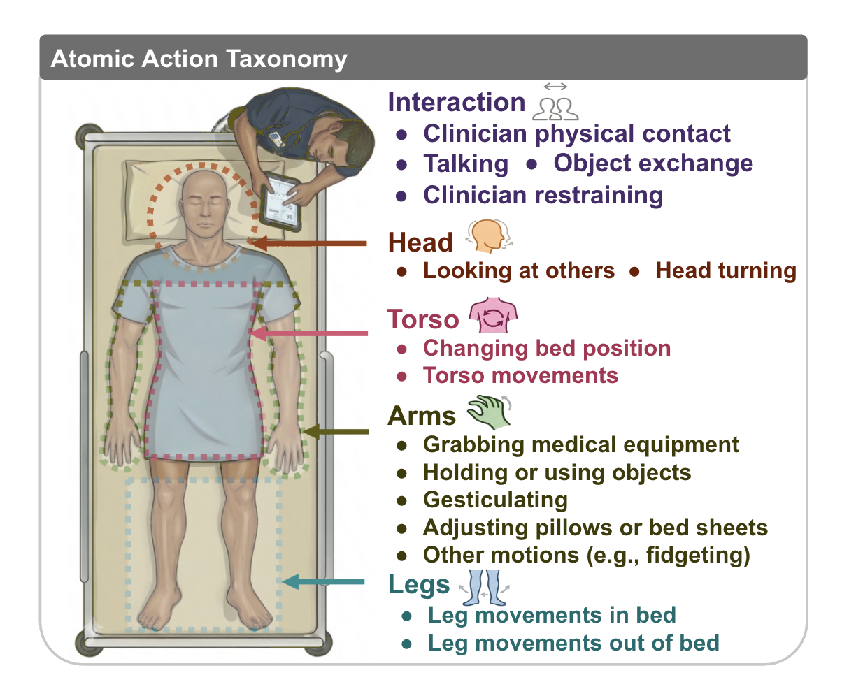 Illustration of a patient lying in a hospital bed with a clinician at the bedside, with colored outlines around the head, torso, arms and legs. Labels list the 15 atomic actions in five groups. Interaction: clinician physical contact, talking, object exchange, clinician restraining. Head: looking at others, head turning. Torso: changing bed position, torso movements. Arms: grabbing medical equipment, holding or using objects, gesticulating, adjusting pillows or bed sheets, other motions such as fidgeting. Legs: leg movements in bed, leg movements out of bed.