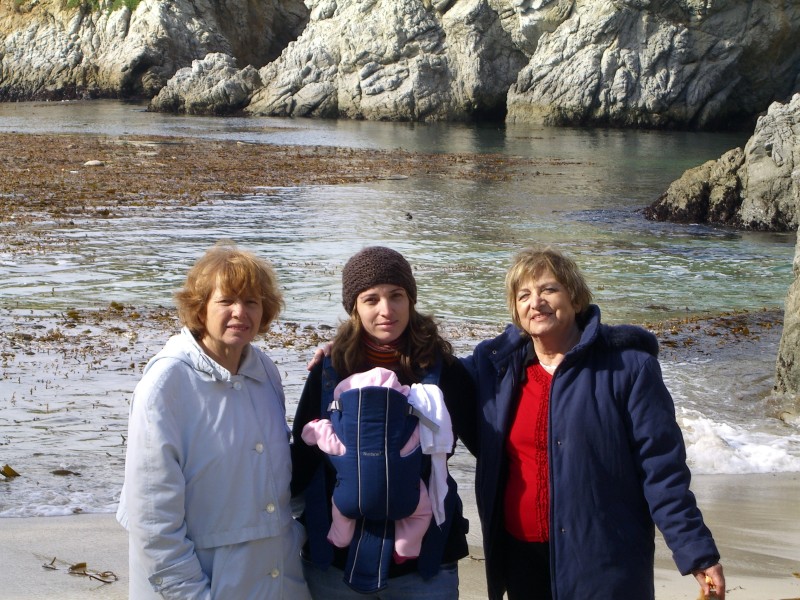 CIMG8337.JPG -  CLICK HERE FOR MORE PICTURES OF POINT LOBOS 