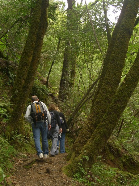 CIMG6313.JPG -  CLICK HERE FOR MORE PICTURES OF UVAS CANYON 
