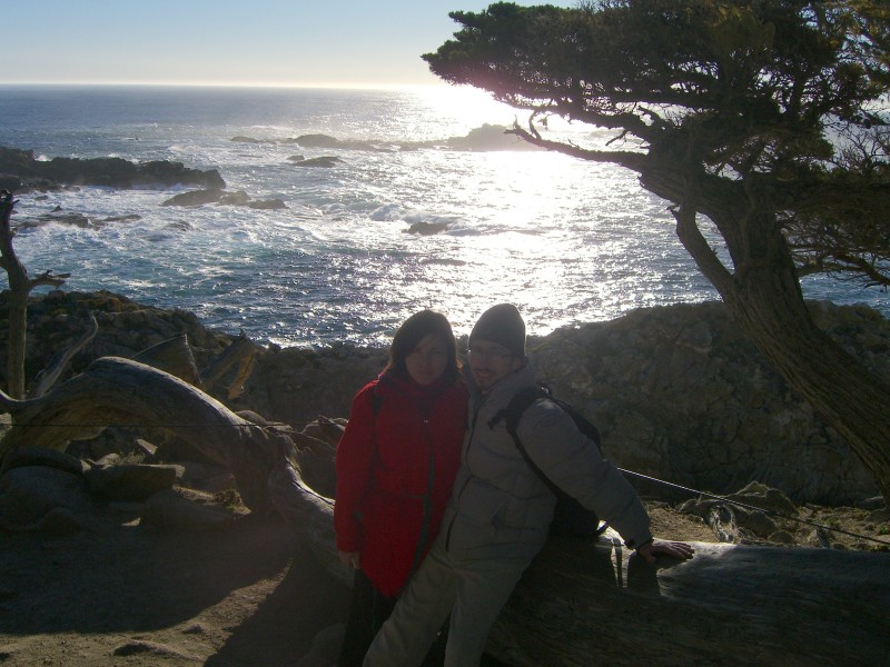 CIMG8838.JPG -  CLICK HERE FOR MORE PICTURES OF POINT LOBOS 