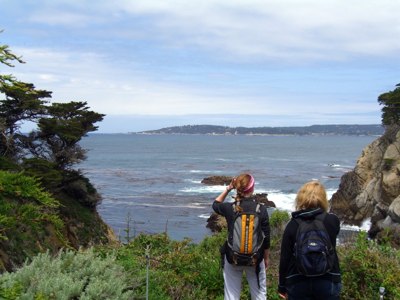 CIMG2814-1.JPG -  CLICK HERE FOR MORE PICTURES OF POINT LOBOS 