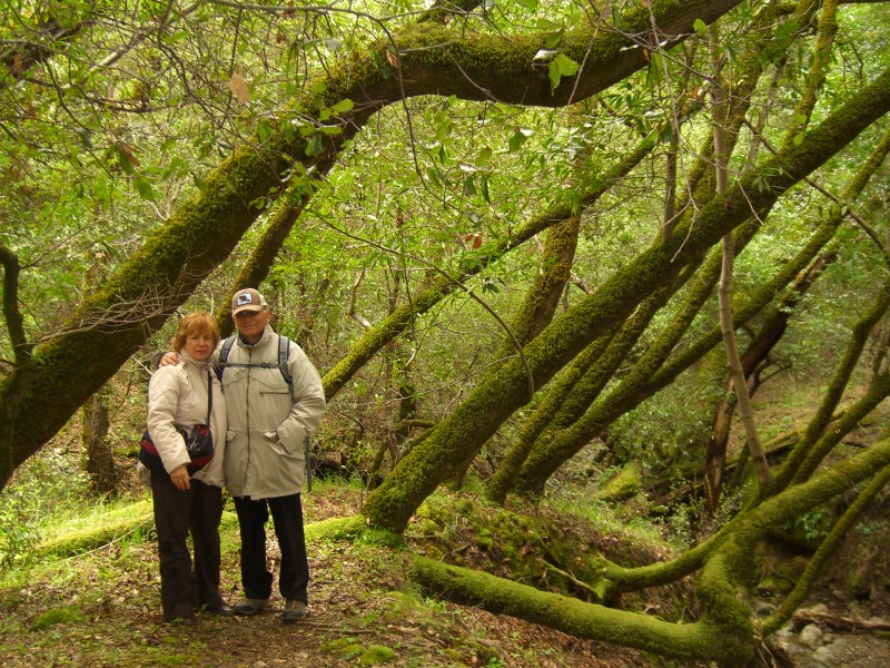 CIMG2641.JPG -  CLICK HERE FOR MORE PICTURES OF MONTE BELLO 