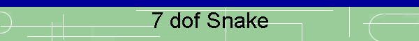 7 dof Snake