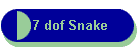 7 dof Snake