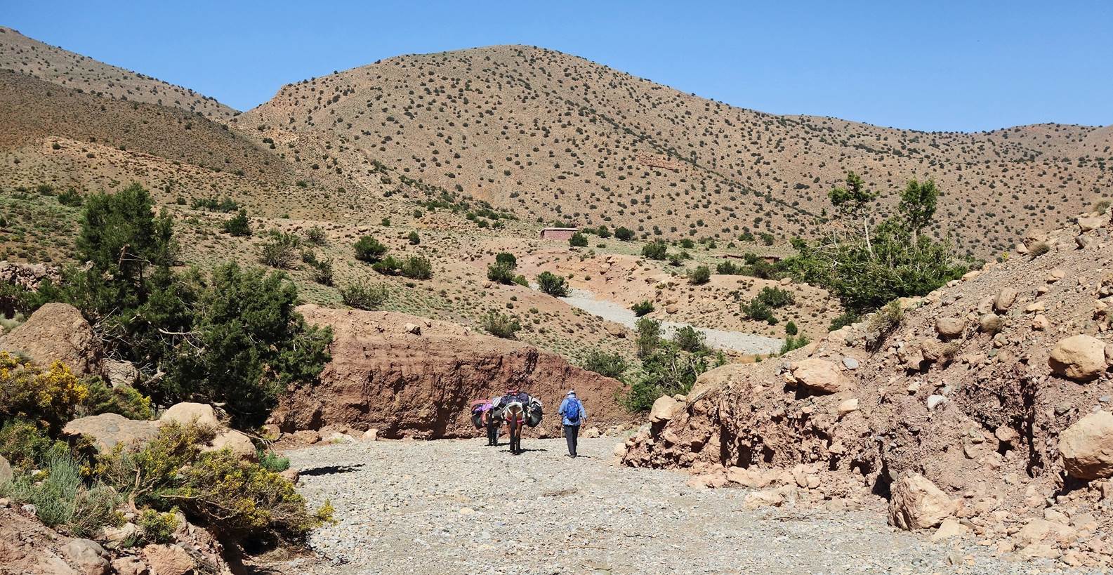 A group of people walking in a rocky area

Description automatically generated with low confidence