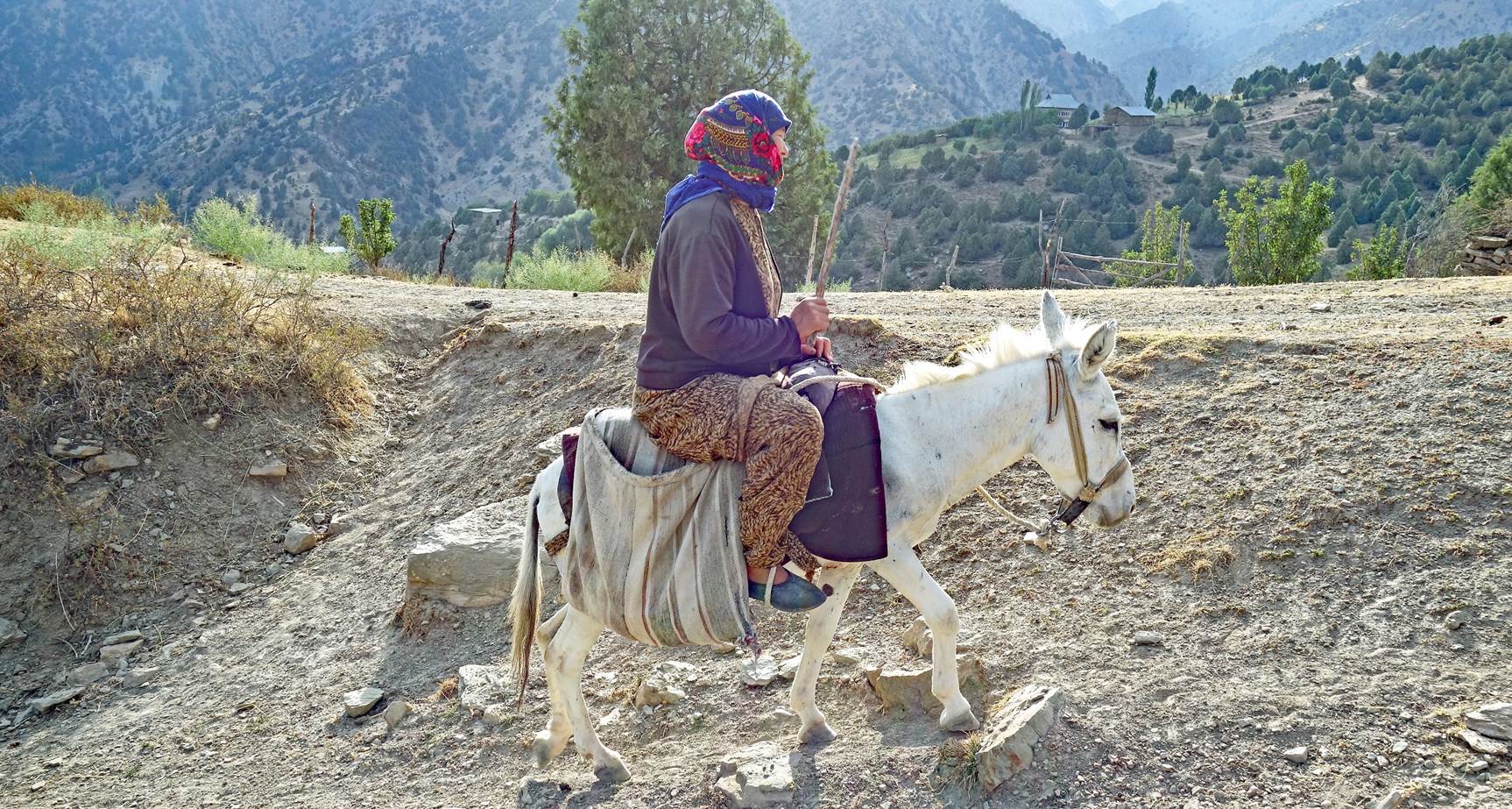 A person riding a white donkey

Description automatically generated