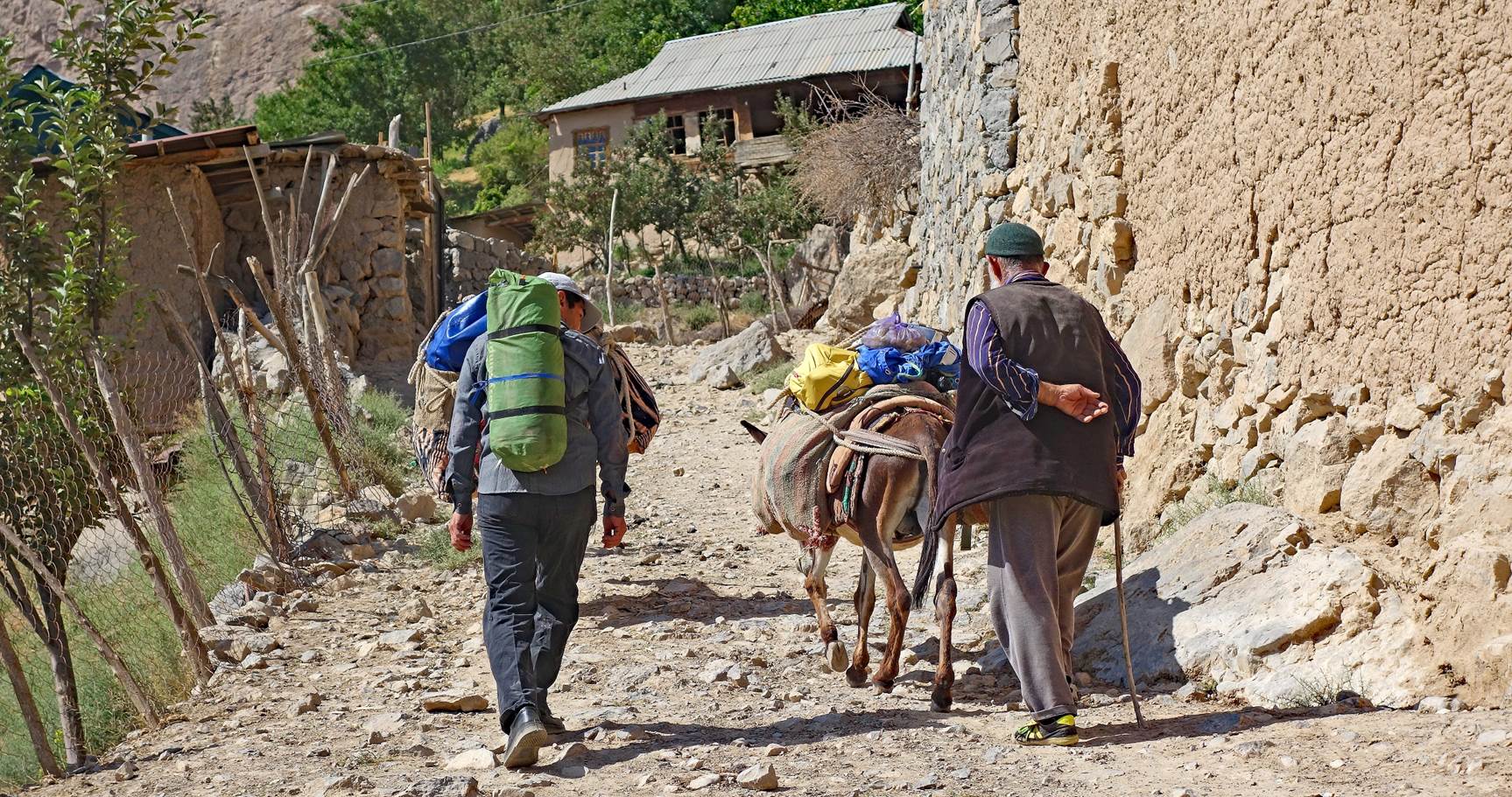 A person walking with a donkey

Description automatically generated